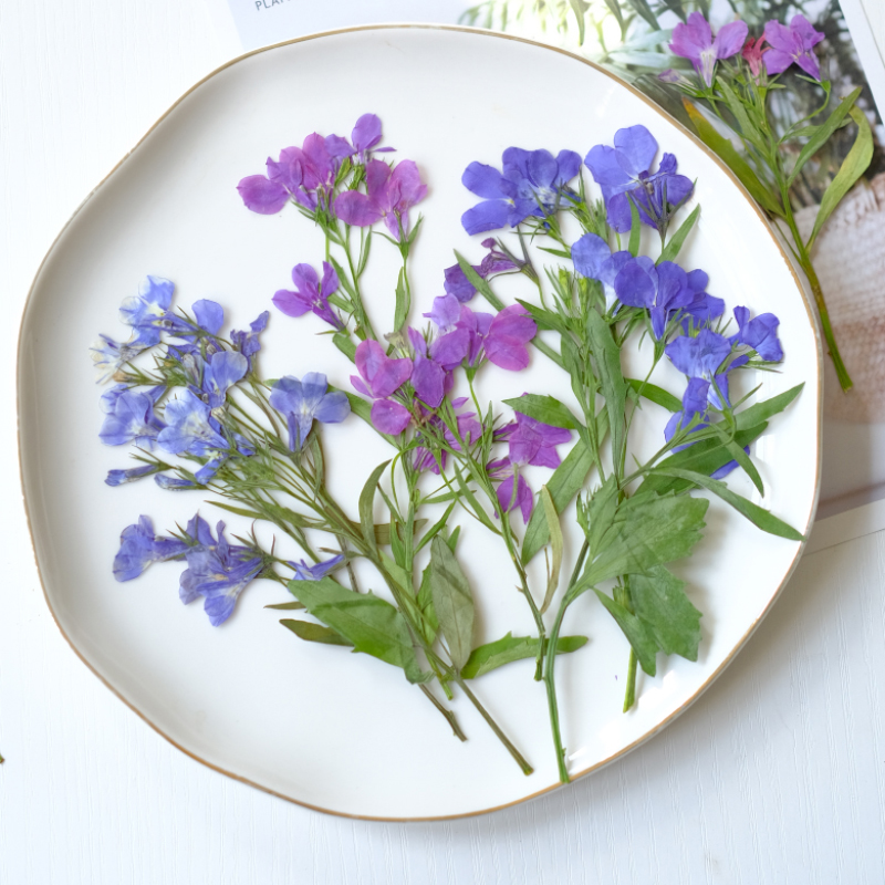 6 Buah/8-13Cm, Bunga Lobelia E - Resin Art Bookmark ulasan dan harga